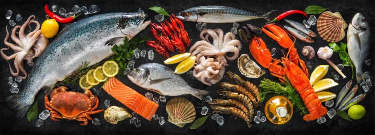 Thủy sản Seafood
